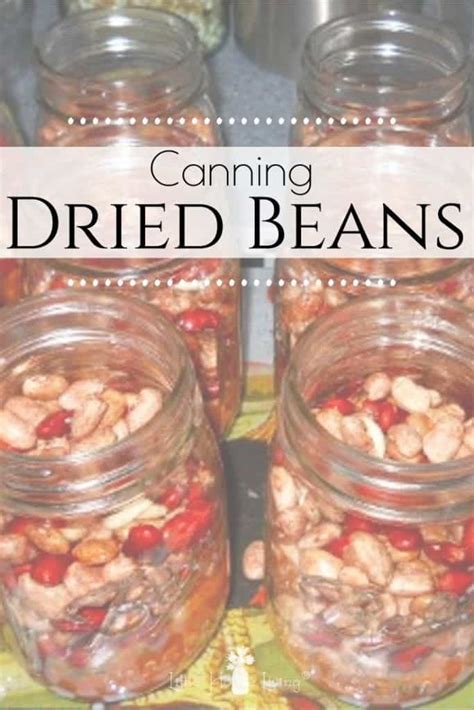 Easy Homemade Method for Canning Dry Beans Without Soaking