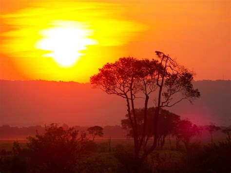 Kenyan Sunset | Pamoja