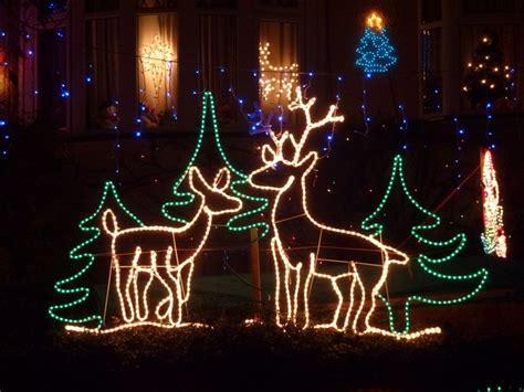 Christmas Deer | Christmas light displays, Christmas deer, Christmas door decorations