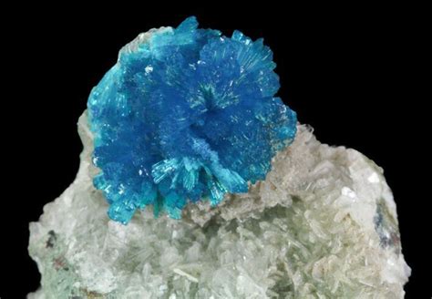 Vibrant Blue Cavansite Cluster on Stilbite - India (#64795) For Sale - FossilEra.com