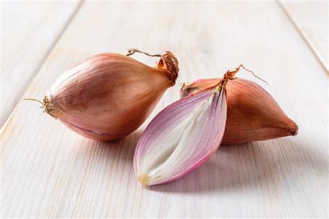 Grow Flavorful Shallots: Ultimate Guide to Planting & Harvesting