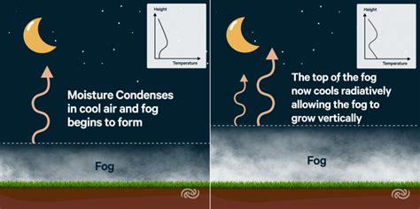 The Physics of Fog | MetService Blog