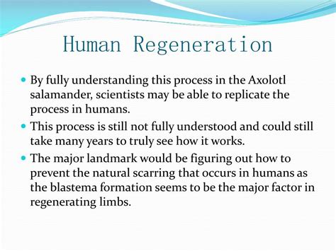 PPT - Axolotl Limb Regeneration PowerPoint Presentation, free download - ID:3544337