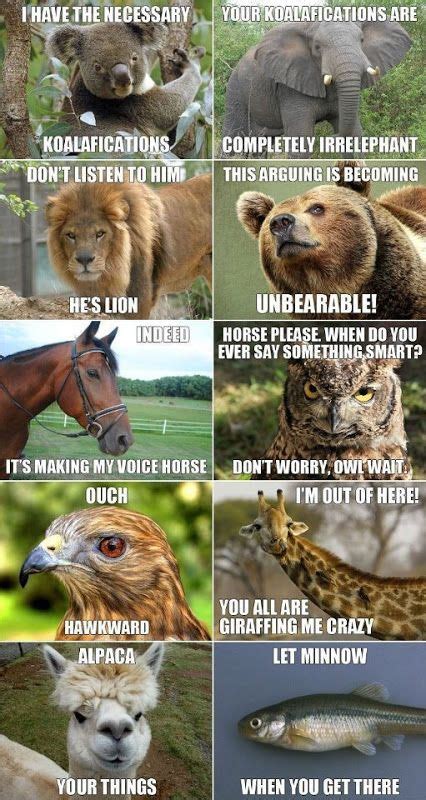 all the cute animal puns are in one place!!! | Laughs, Giggles & Grins ...