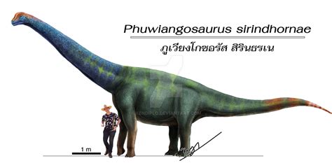 Phuwiangosaurus sirindhornae by Kendiplo on DeviantArt