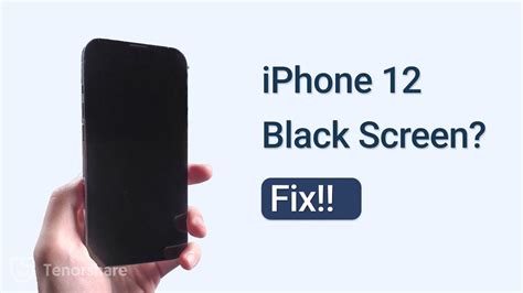 How to Fix iPhone 12 Black Screen 2022 - YouTube