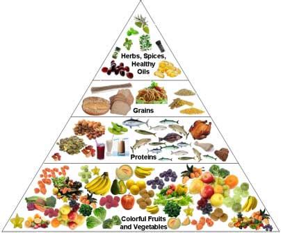 The Ethnoherbalist Review of Phytochemicals