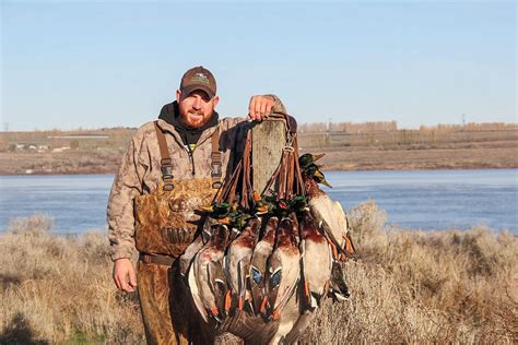 Mallard Hunting Tips from the Pros - Wildfowl