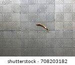 Stone Tiles Floor Free Stock Photo - Public Domain Pictures
