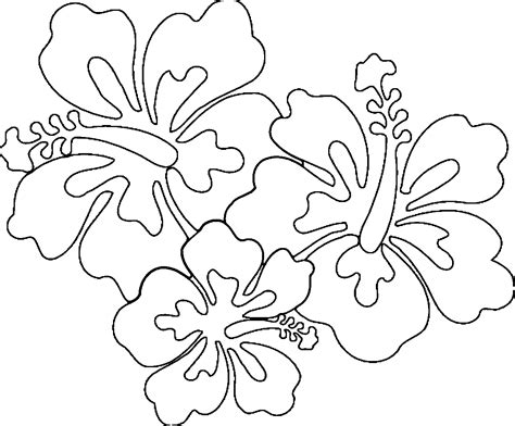 Coloring Hawaiian Pages Flower Flowers Tropical Drawings Hawaii Drawing ...