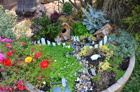 Entertaining From an Ethnic Indian Kitchen: Miniature garden