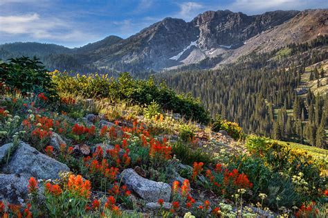 Wasatch Mountains Of Utah Photograph by Utah Images