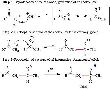 AldolReaction