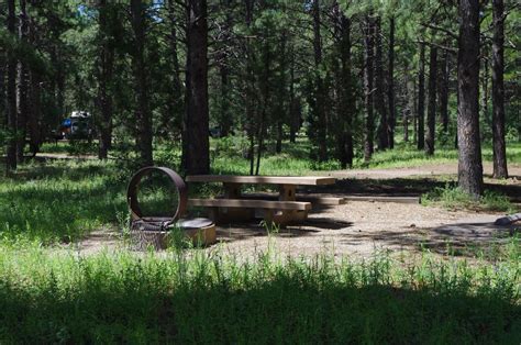 Potato Patch Campground, Prescott National Forest - Recreation.gov