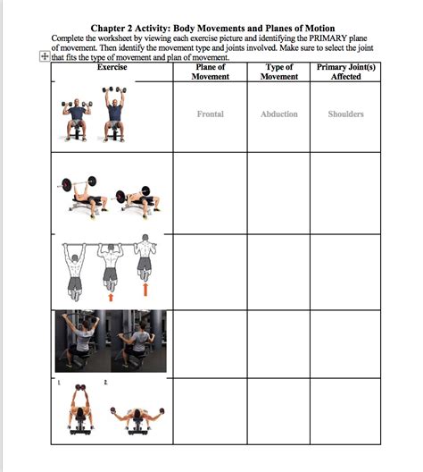 Joints And Movement Worksheet - Abhayjere.com