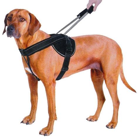 quick-control-training-harness-with-integrated-retractable-handle_1200x1200.jpg?v=1576391002