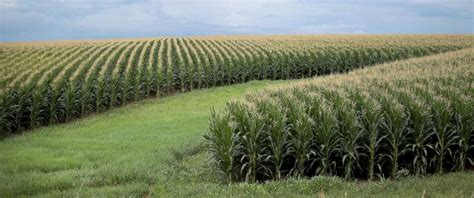 As Trump visits Iowa, farmers warn 'patience is wearing thin' on tariff fight - ABC News