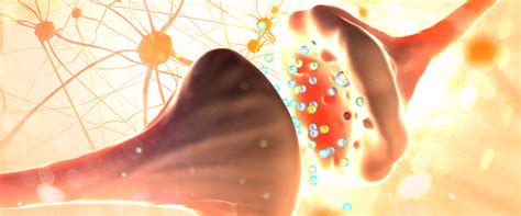 Understanding Your Cannabinoid Receptors - Medical Marijuana, Inc.