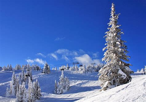 13 Top-Rated Ski Resorts in British Columbia, 2023/24 | PlanetWare