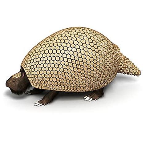 extinct glyptodon 3d model | 3d model, Extinction, Animal figures