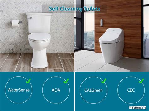 Automatic Self-Cleaning Toilets Review (6 Ranked & Rated)