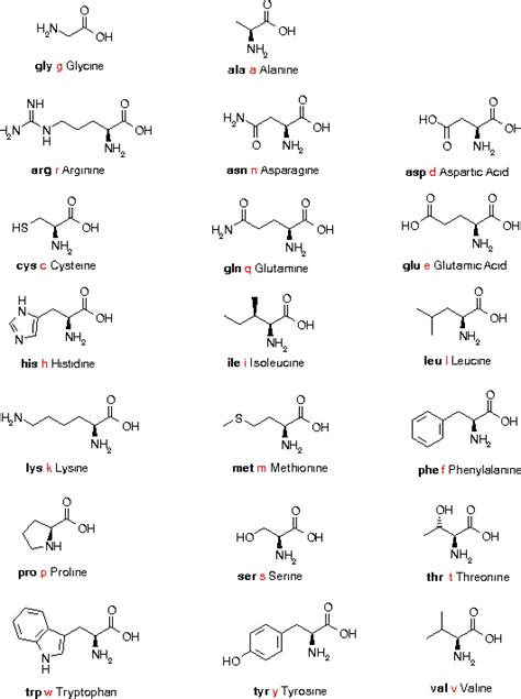 Amino Acids Structural Formula