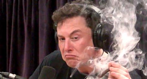 Elon Musk Makes Weed Joke As Tesla Shares Hit $420 | Carscoops