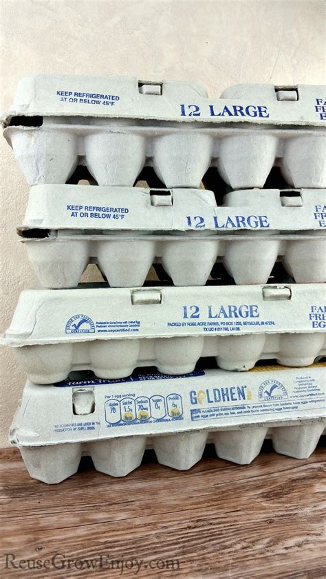 9+ Ways To Reuse Egg Cartons - Reuse Grow Enjoy