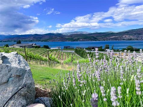 Lake Chelan Wineries: 6 great wineries in Chelan - The Everywhere Guide