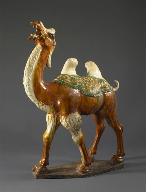 Bactrian Camel - Saint Louis Art Museum