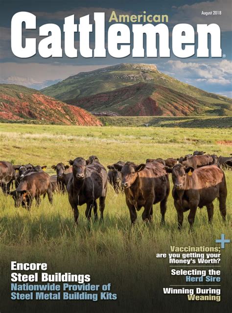 American Cattlemen August 2018 by Twin Rivers Media - Issuu