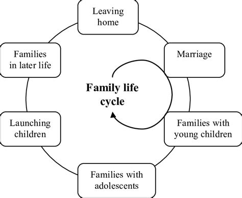 1 Family life cycle stages | Download Scientific Diagram