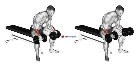 Dumbbell Reverse Wrist Curl - Home Gym Review