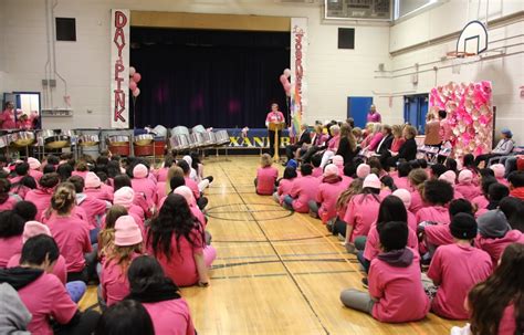 Students celebrate International Day of Pink with pledges, balloons, speeches | CBC News