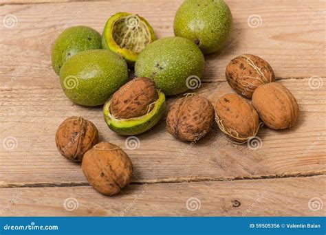 Green walnuts stock photo. Image of season, autumn, food - 59505356