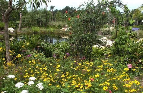 ButterflyGardening | Florida native plants, Butterfly garden design ...