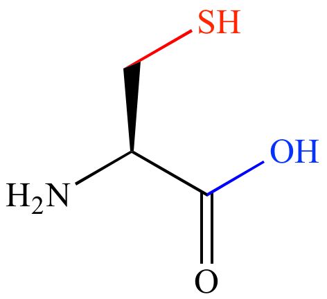 Illustrated Glossary of Organic Chemistry - Sulfhydryl group