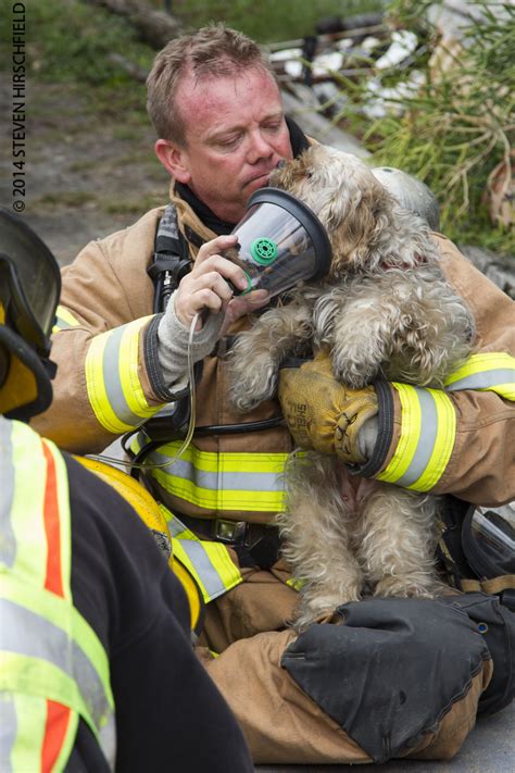 firefighters and animals | Firefighters Rescue Unresponsive Animals from a Structure Fire in ...