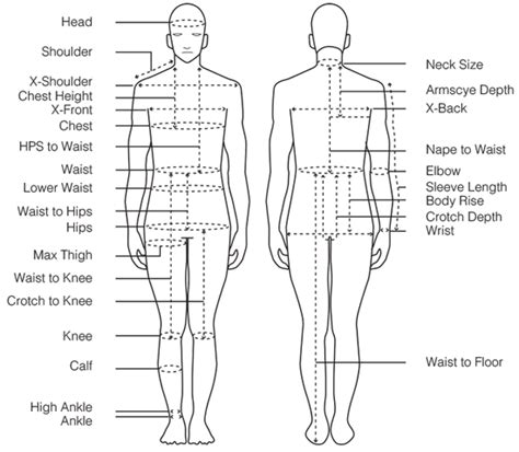 Important of Anthropometric