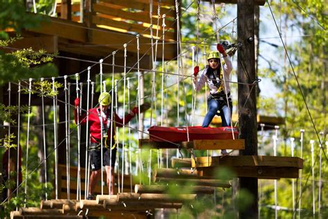 SKYWILD adventure park to open at Greensboro Science Center | Local News | journalnow.com