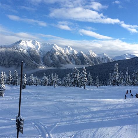 Mt. Baker Ski Area | The Undisputed King of Snow