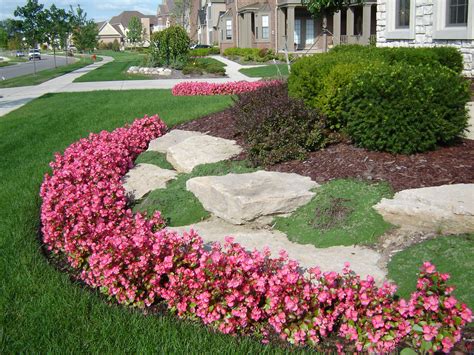 Begonias, Creeping Thyme and Limestone. | Garden inspiration, Home landscaping, Yard work