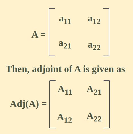 Adjoint of a Matrix: Adjugate Matrix, Definition and Examples