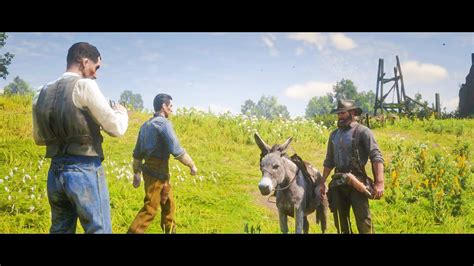 What happens if you bring a donkey to the horse fence? | RDR2 - YouTube