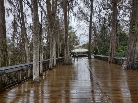 Silver Springs State Park - Go Wandering