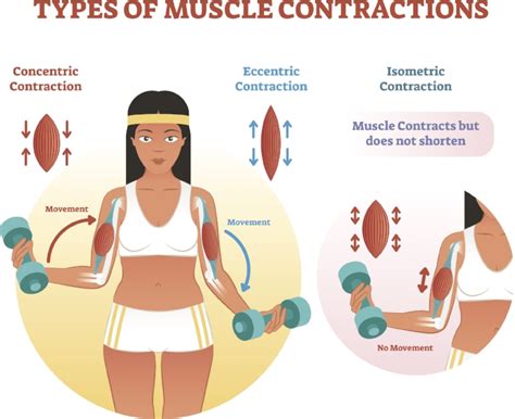 Concentric And Eccentric Strengthening | EOUA Blog