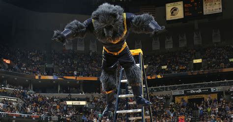 Grizzlies mascot flies off ladder for WWE-style slam | FOX Sports