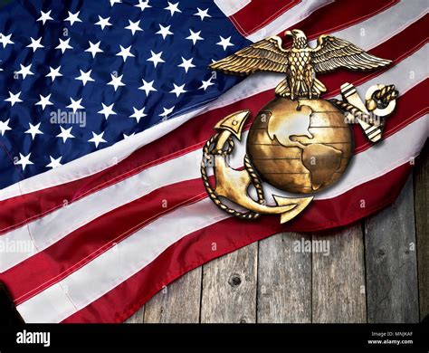 Marine eagle, globe and anchor with American flag background Stock ...