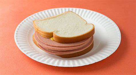 Fried Bologna Sandwich [Recipe] | Anti Foodie