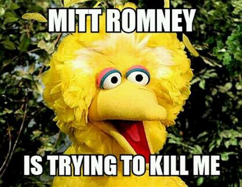 Big Bird Memes Go Viral Picture | Big Bird Memes Go Viral - ABC News